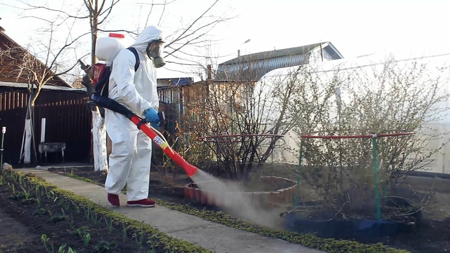 ФОТО Уничтожение муравьёв в Пятигорске