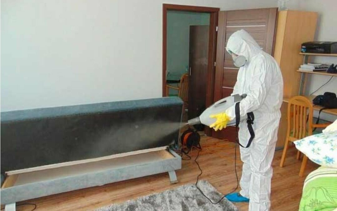 ФОТО Уничтожение блох в Пятигорске