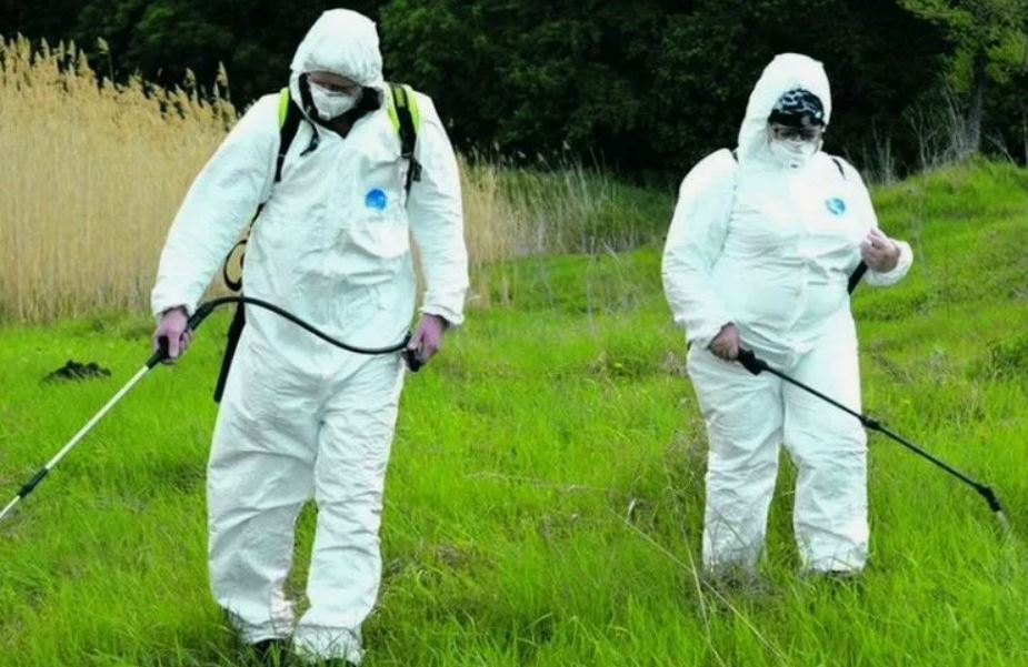 ФОТО Обработка от клещей в Пятигорске