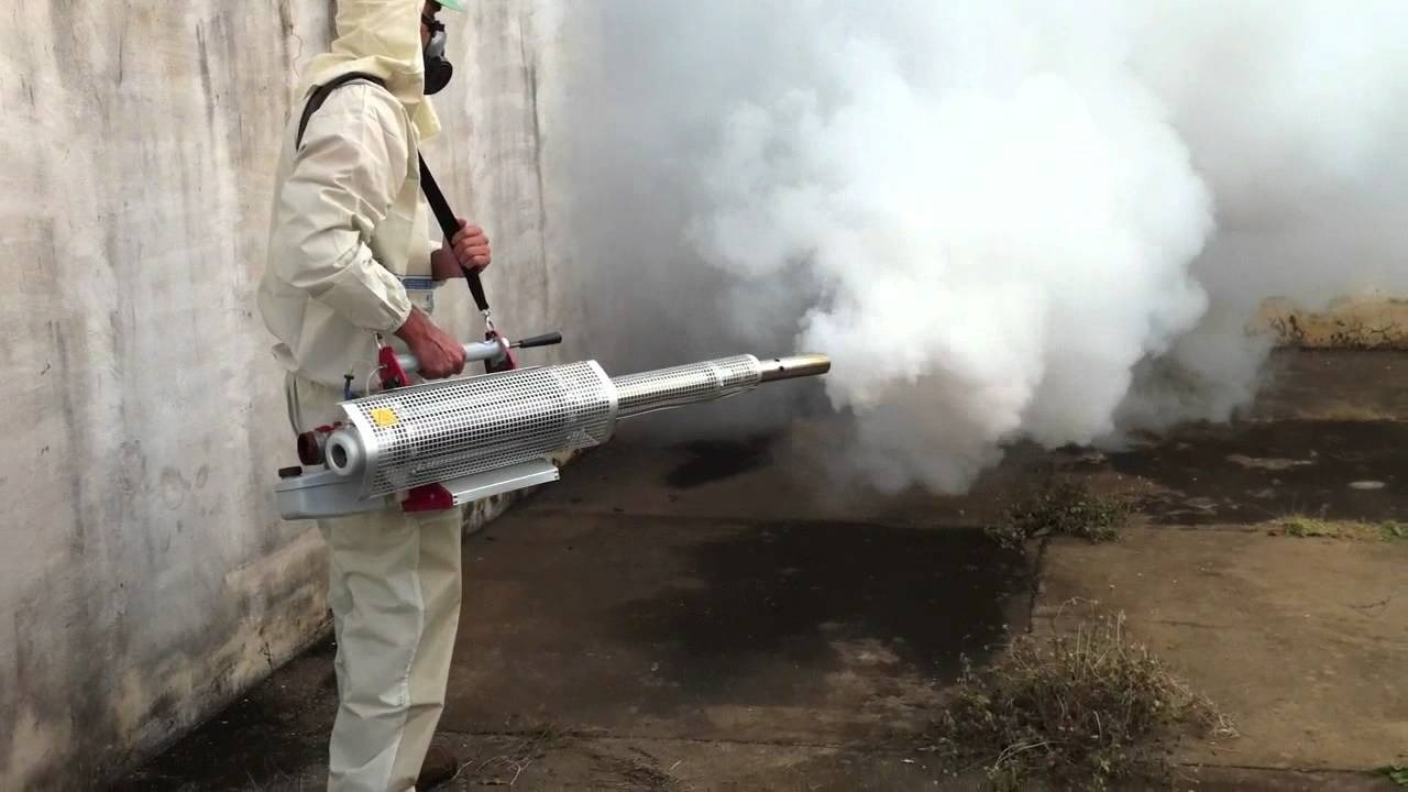 ФОТО Уничтожение мух в Пятигорске