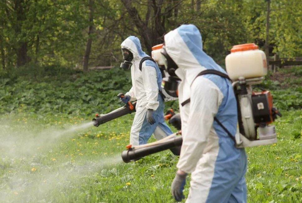 ФОТО Что такое дезинсекция в Пятигорске? | подробно