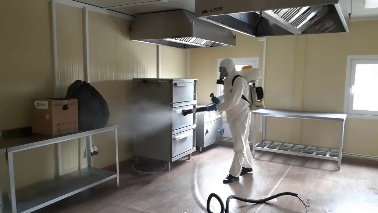 ФОТО Можно ли провести дезинсекцию самостоятельно и какие существуют риски в Пятигорске? | подробно