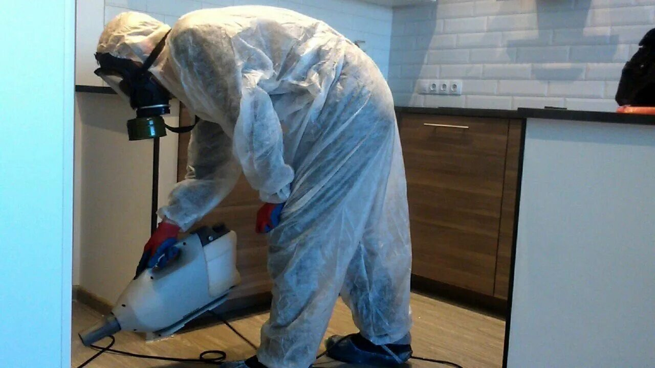 ФОТО Как подготовить домашних животных к обработке от насекомых в Пятигорске? | подробно