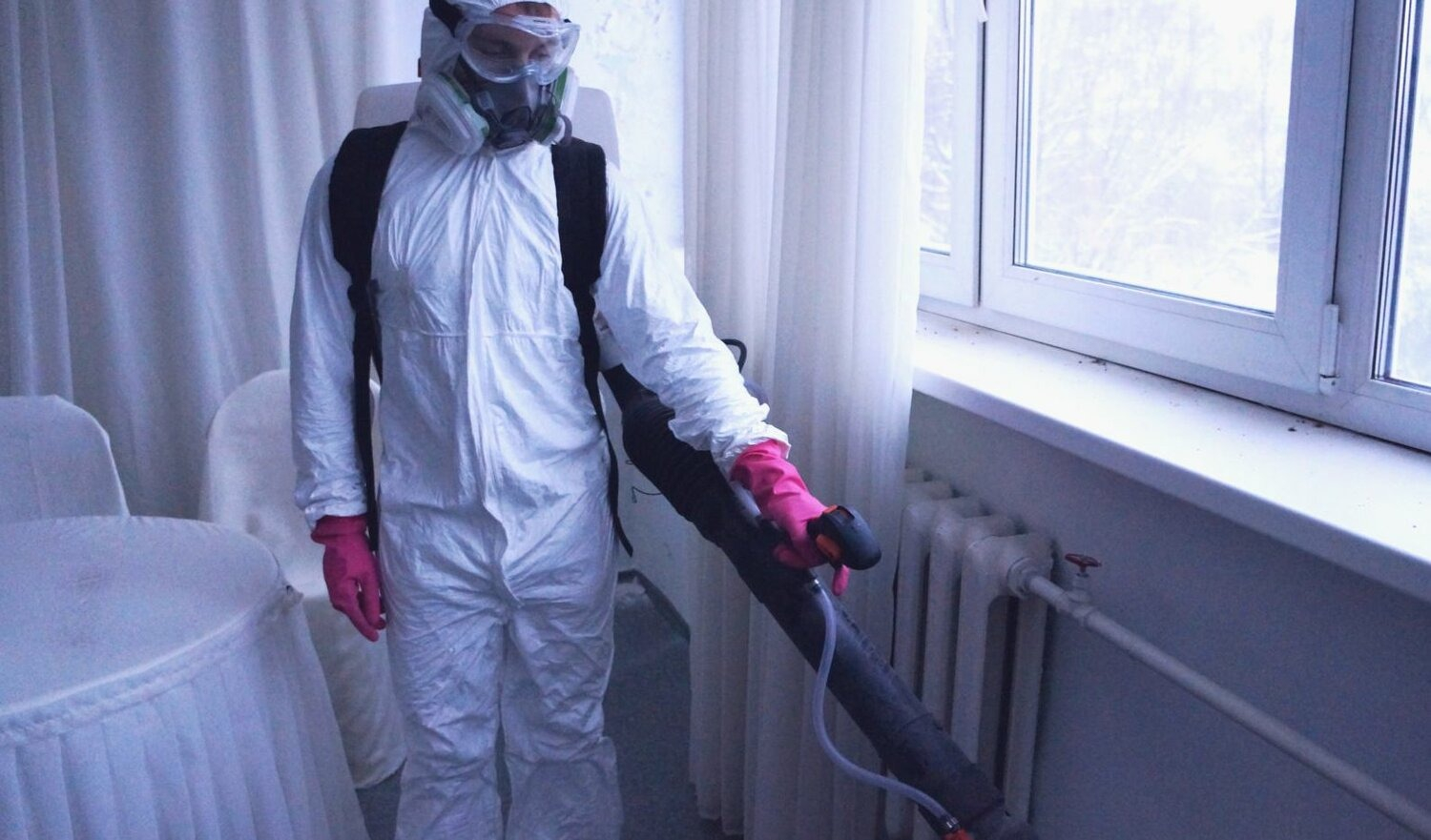 ФОТО Нужно ли выносить растения при дезинсекции в Пятигорске? | подробно