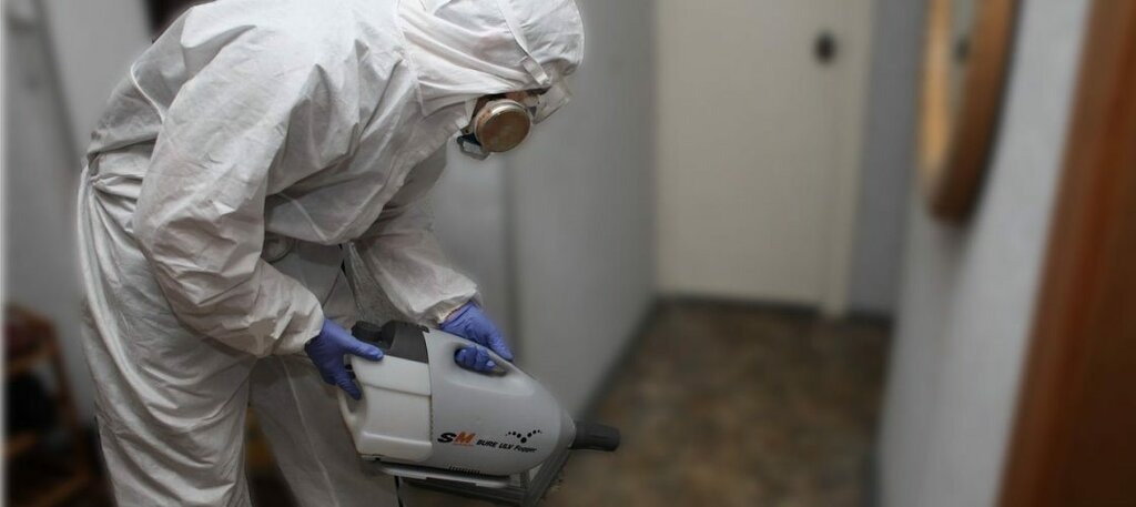 ФОТО Остаются ли следы после обработки квартиры от насекомых в Пятигорске? | подробно