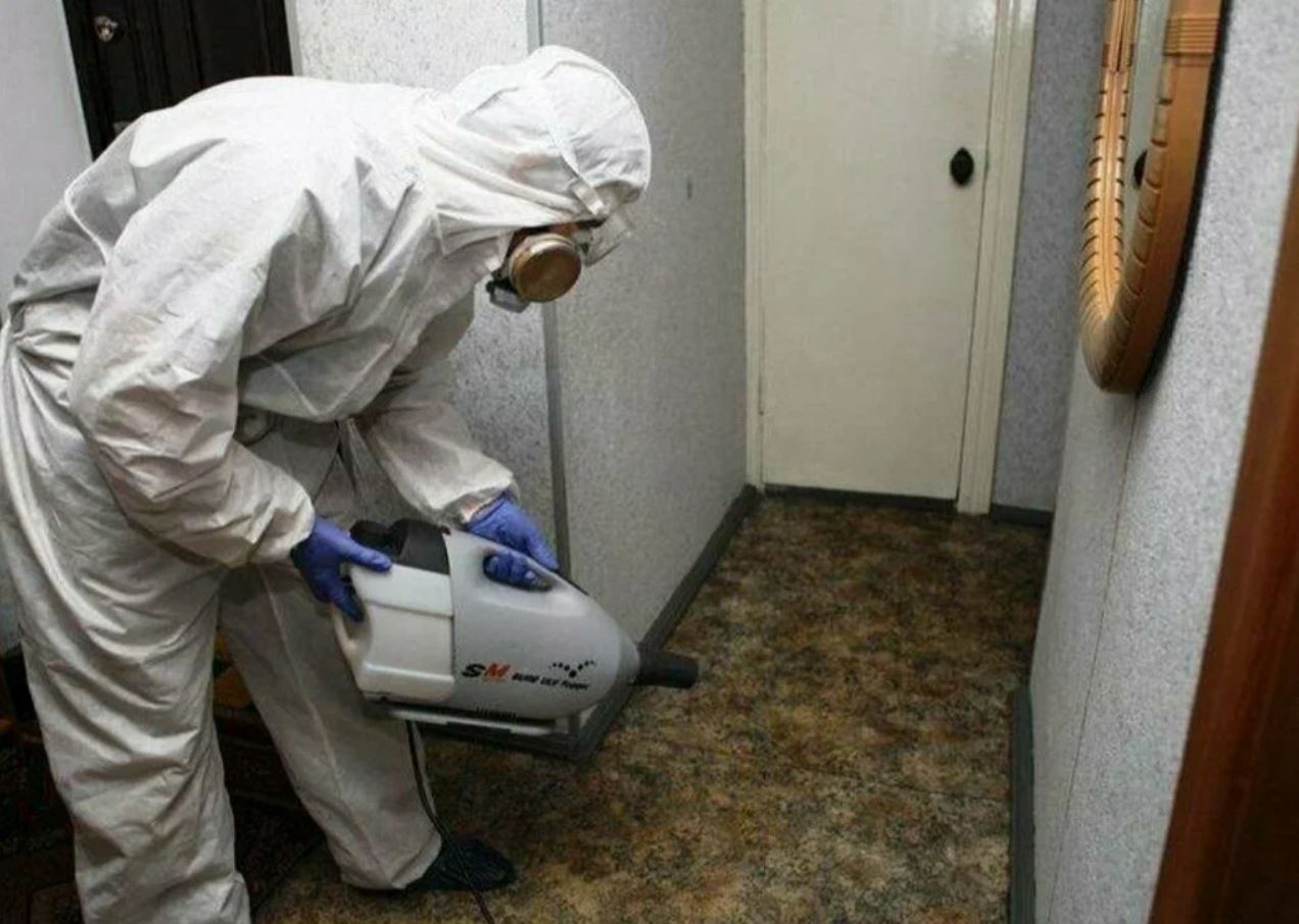 фото: Профессиональная дезинсекция в Пятигорске: <br/>+7-909-173-42-96